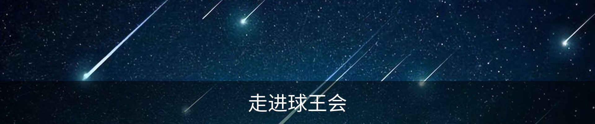 走进球王会